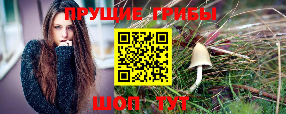 Галлюциногенные грибы Psilocybine cubensis Южно-Сахалинск