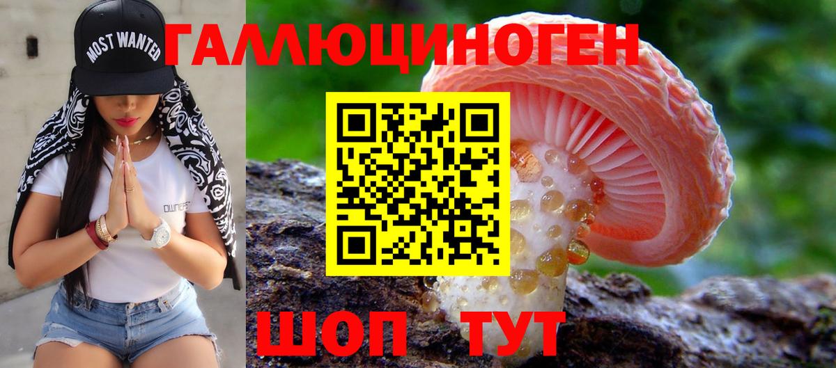 Галлюциногенные грибы Cubensis  Вход с VPN  Псилоцибиновые грибы GOLDEN TEACHER  Южно-Сахалинск 